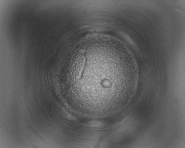 X0000083590169200702091203