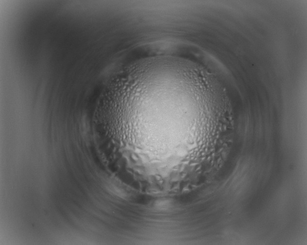 X0000083590173200702091203