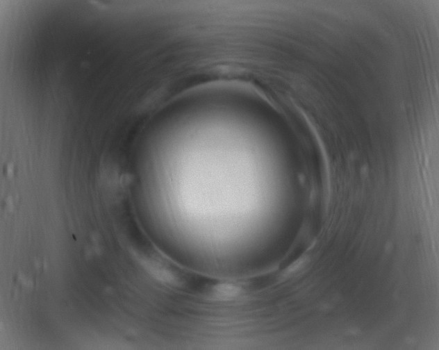 X0000083590176200702091203