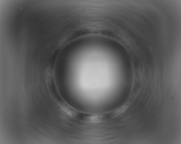 X0000083590184200702091203