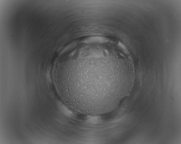 X0000083590185200702091203