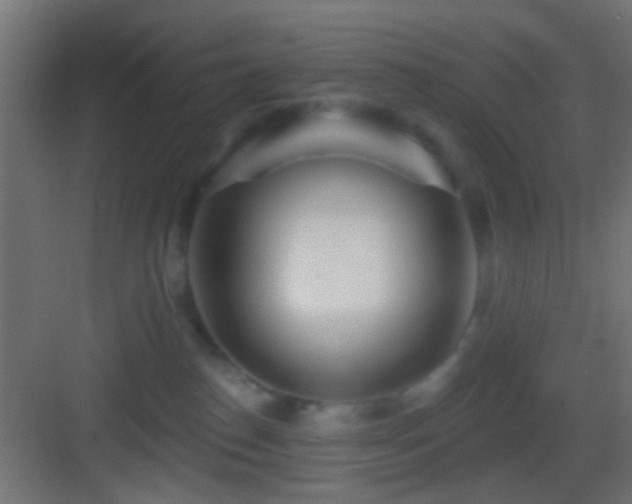 X0000083590186200702091203