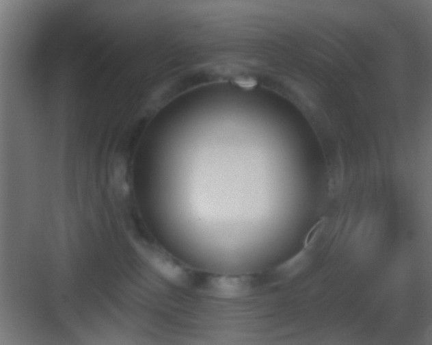 X0000083590187200702091203