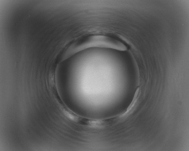 X0000083590192200702091203