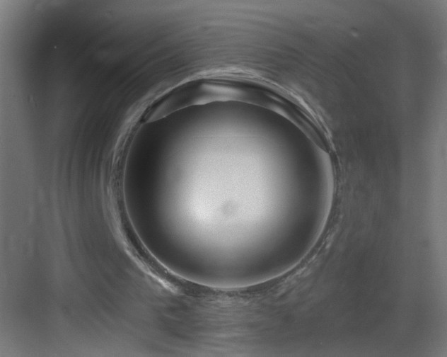X0000083590193200702091202