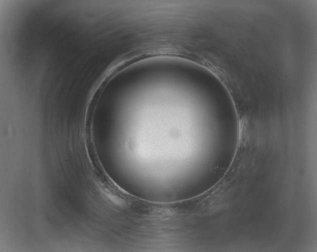 X0000083590195200702091202