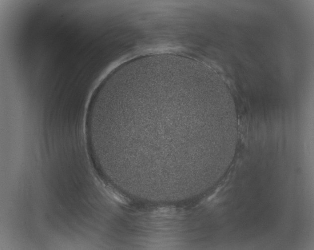 X0000083590196200702091202