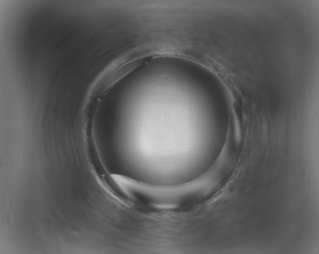 X0000083590197200702091202