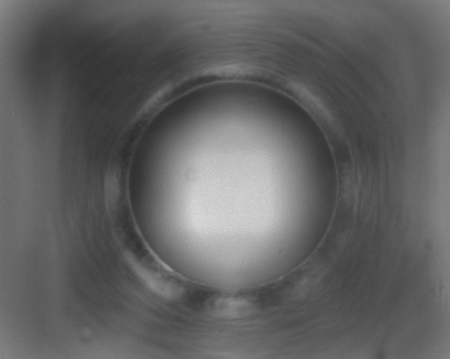 X0000083590208200702091202