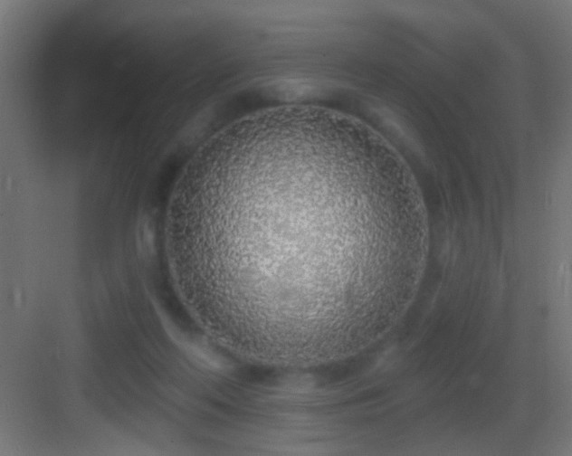 X0000083590214200702091202