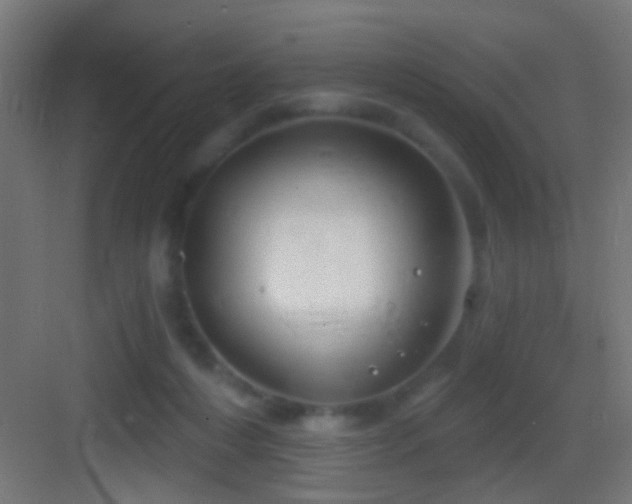 X0000083590216200702091202