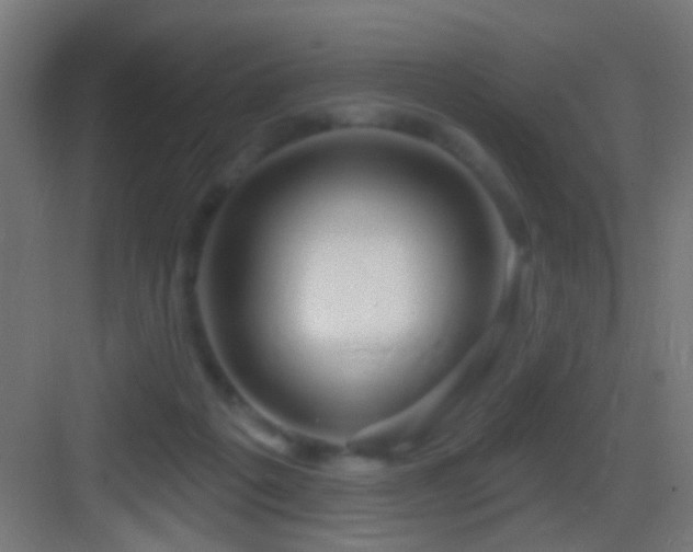 X0000083590217200702091202