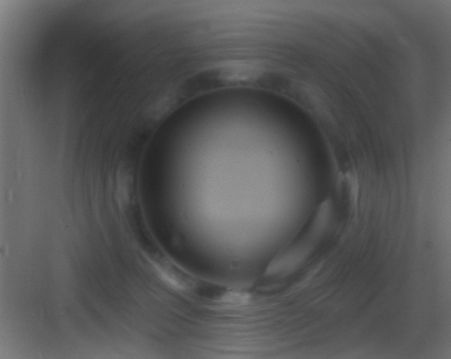 X0000083590227200702091202