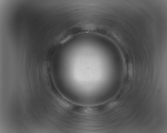 X0000083590229200702091202