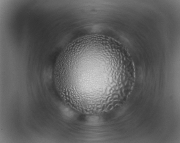 X0000083590230200702091202