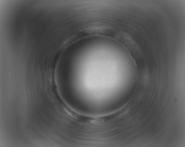 X0000083590232200702091202