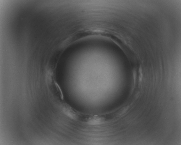 X0000083590235200702091201