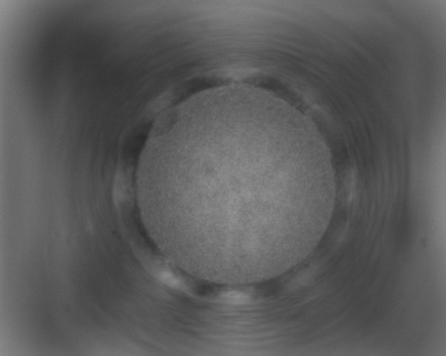 X0000083590236200702091201