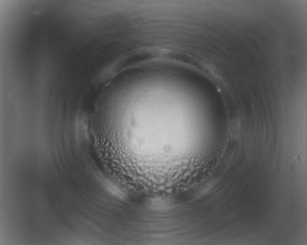 X0000083590238200702091201