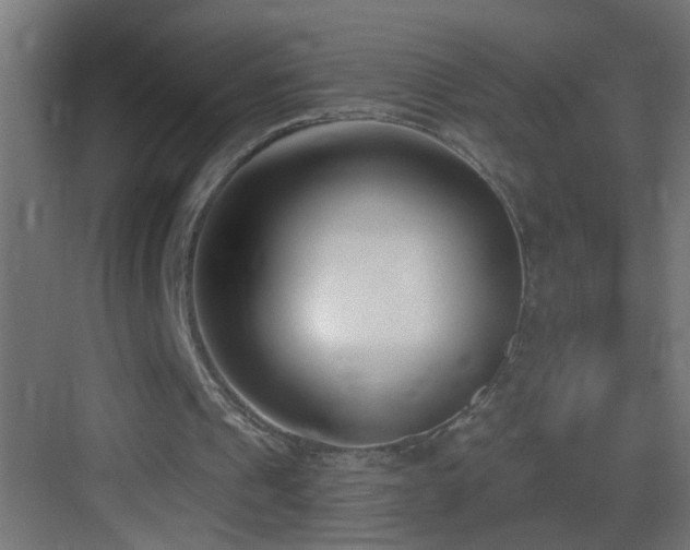 X0000083590241200702091201