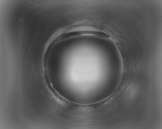 X0000083590245200702091201