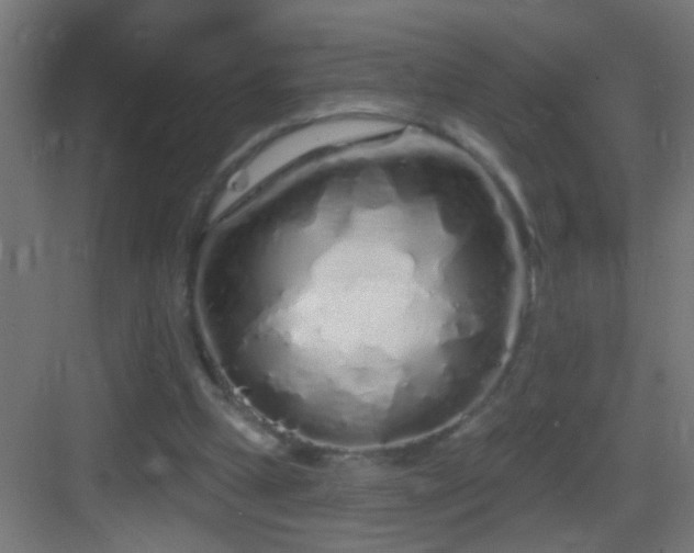 X0000083590249200702091201