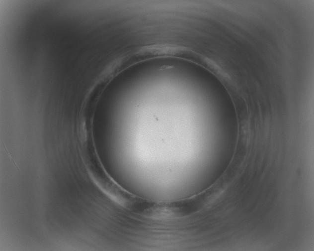 X0000083590254200702091201