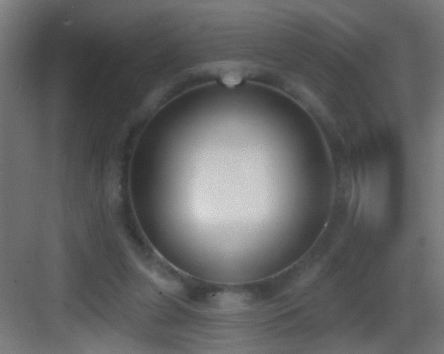 X0000083590255200702091201