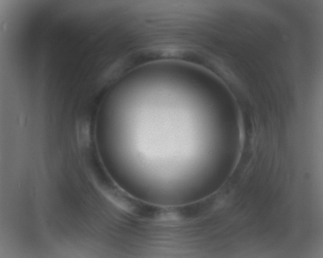 X0000083590262200702091201