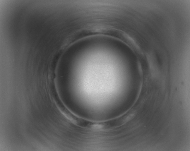 X0000083590265200702091201