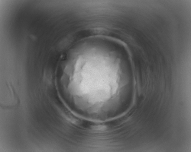 X0000083590266200702091201