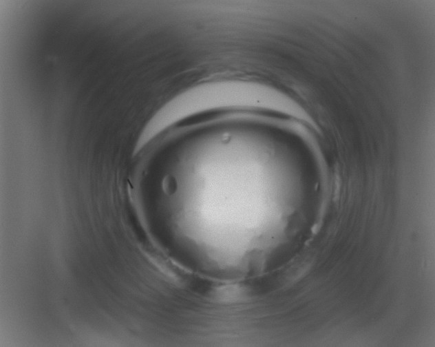 X0000083590269200702091201