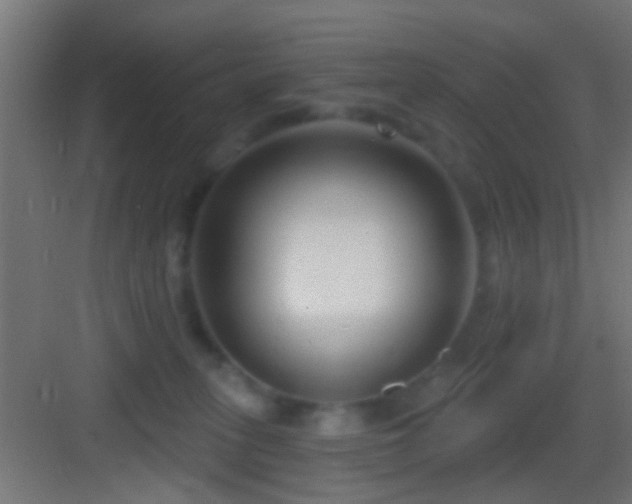 X0000083590275200702091201
