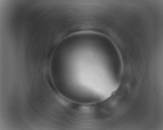 X0000083590277200702091201