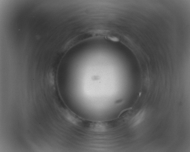 X0000083590282200702091201
