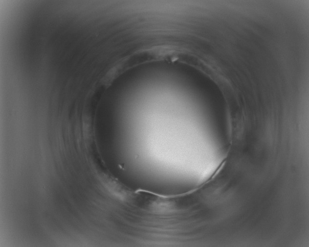 X0000083590283200702091201
