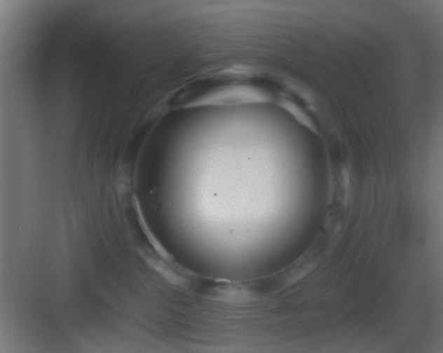 X0000083590284200702091201