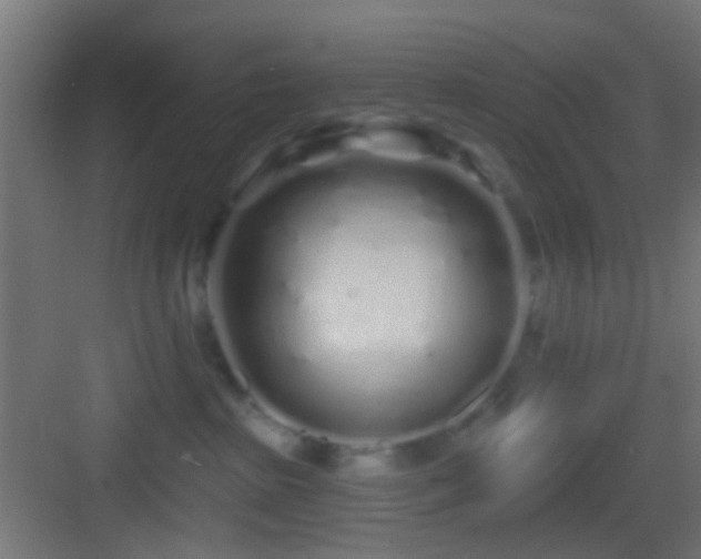 X0000083590285200702091201