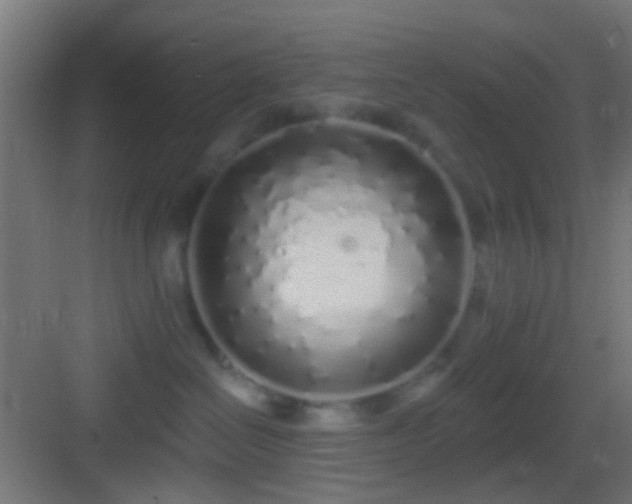 X0000083590286200702091201