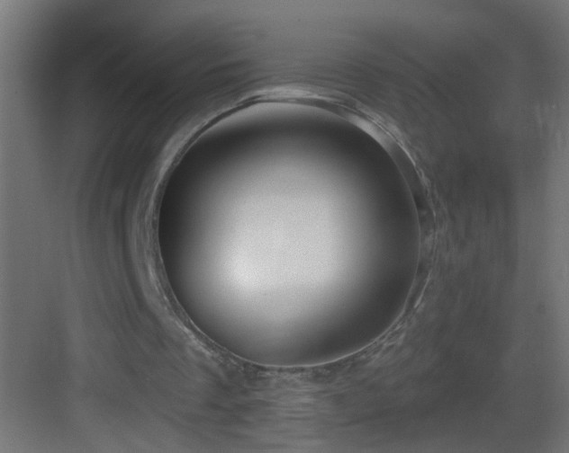 X0000083590289200702091201