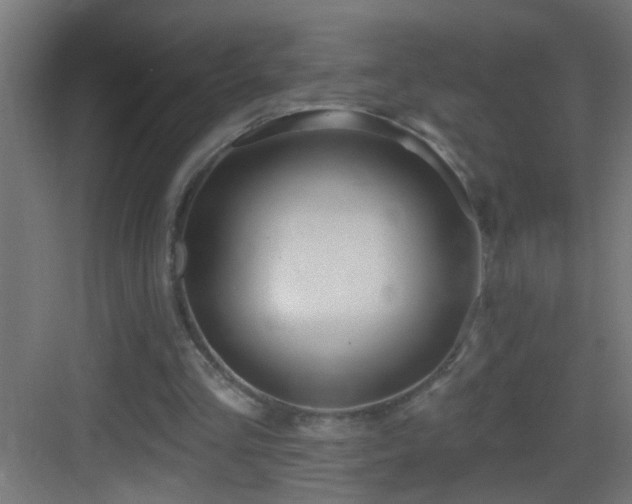 X0000083590293200702091201