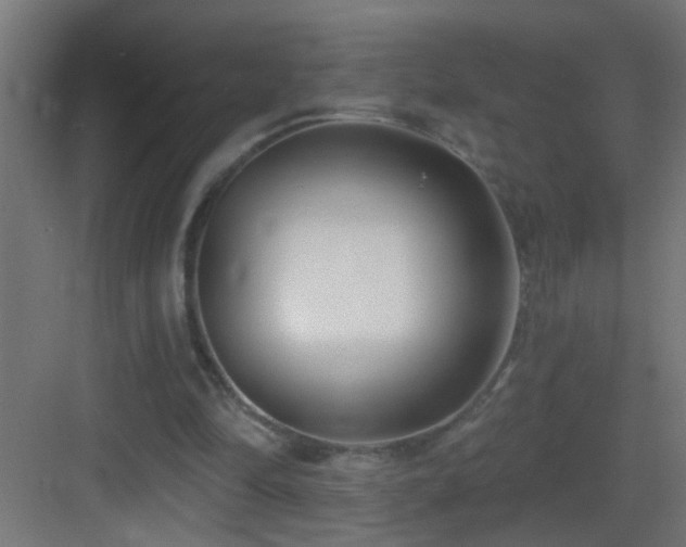 X0000083590294200702091200