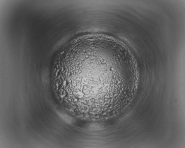 X0000083590303200702091200