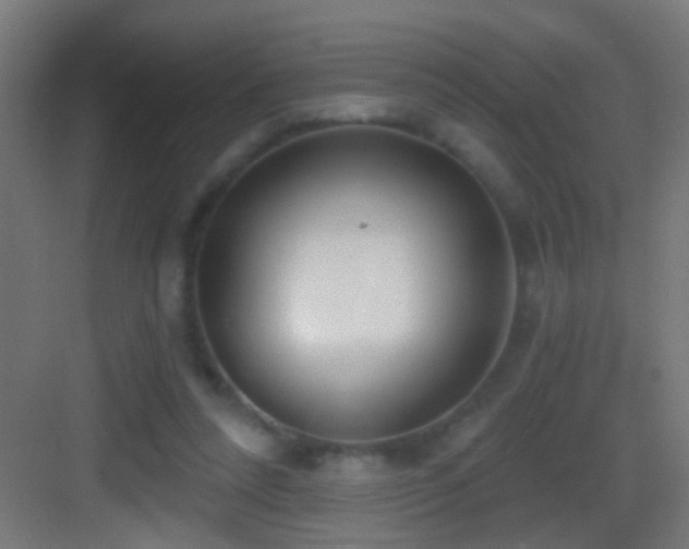 X0000083590304200702091200