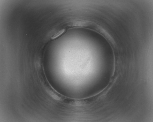 X0000083590305200702091200