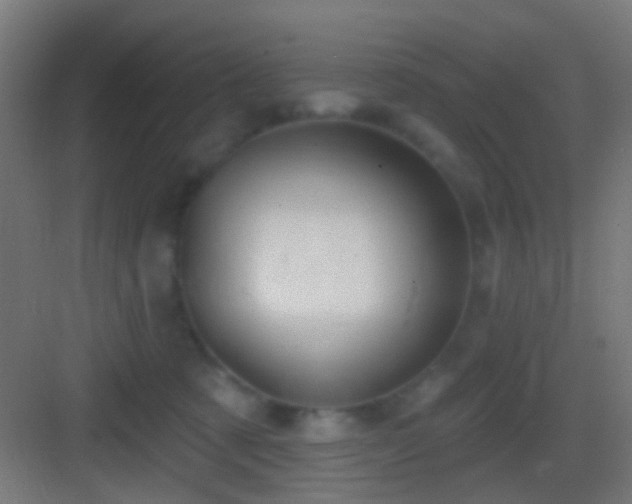 X0000083590321200702091200