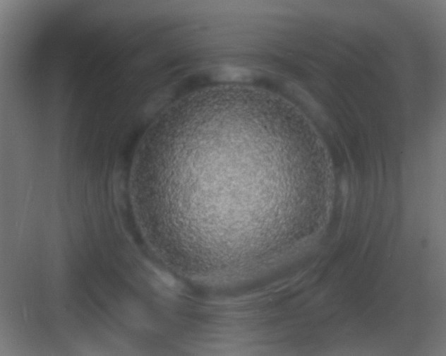 X0000083590322200702091200