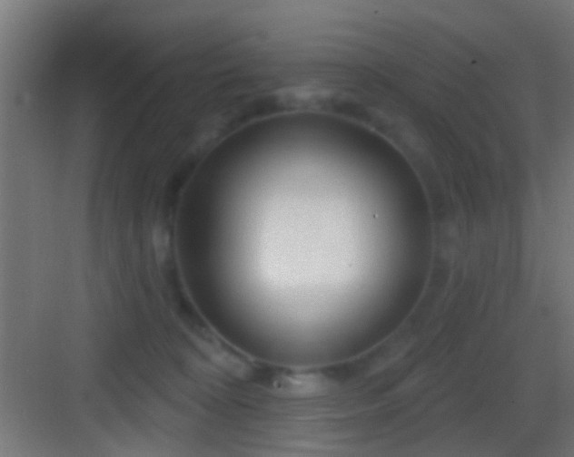 X0000083590324200702091200