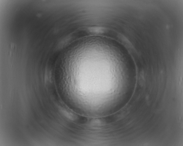 X0000083590330200702091200