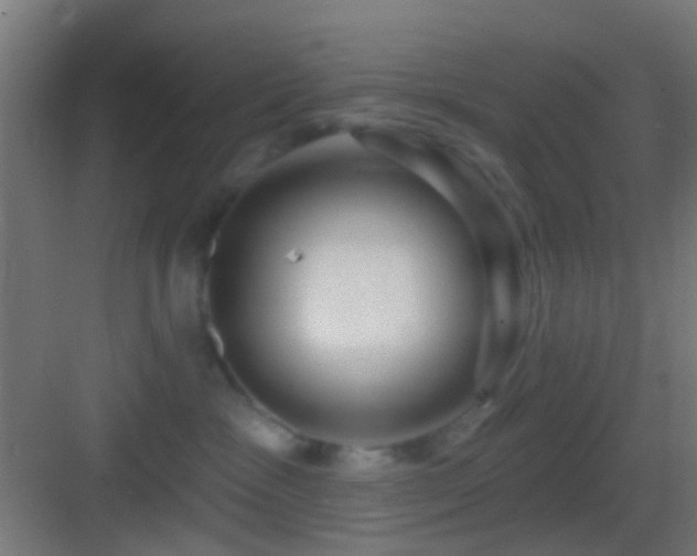 X0000083590333200702091200